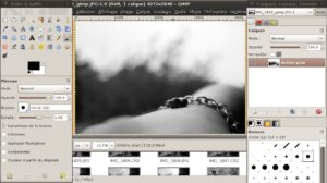 FenÃªtre principale de Gimp