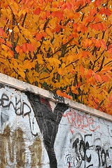 Art naturel urbain