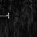 IMG_2436-Modifier_raw IMG_2436-Modifier_raw