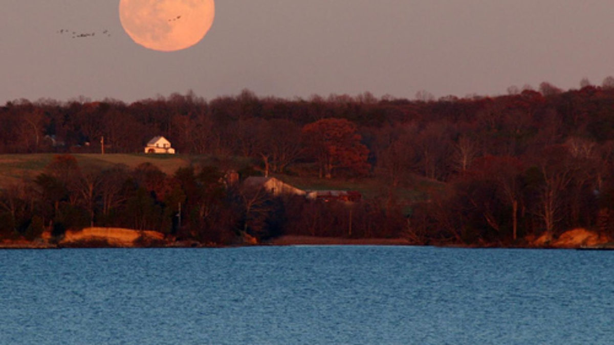 Pix Lune 1 Ou A Ete Prise Cette Photo La (distance) FOCALE d'1 objectif photo : définition et conseils