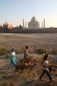photo point de vue original taj mahal inde photo point de vue original taj mahal inde