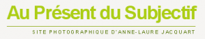 logo Au Présent du Subjectif le blog d'Anne-Laure Jacquart