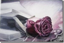 rose 3 livre rose peinture photo fleur pétales flou