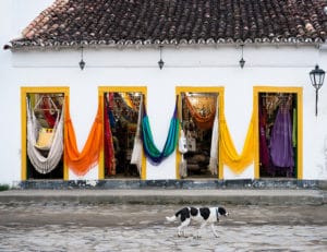 Antonine photo maison portes couleurs rideaux chien rue jaune