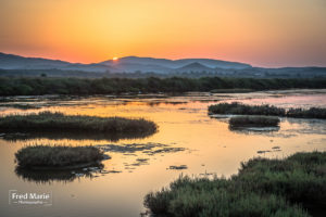 lever de soleil marais