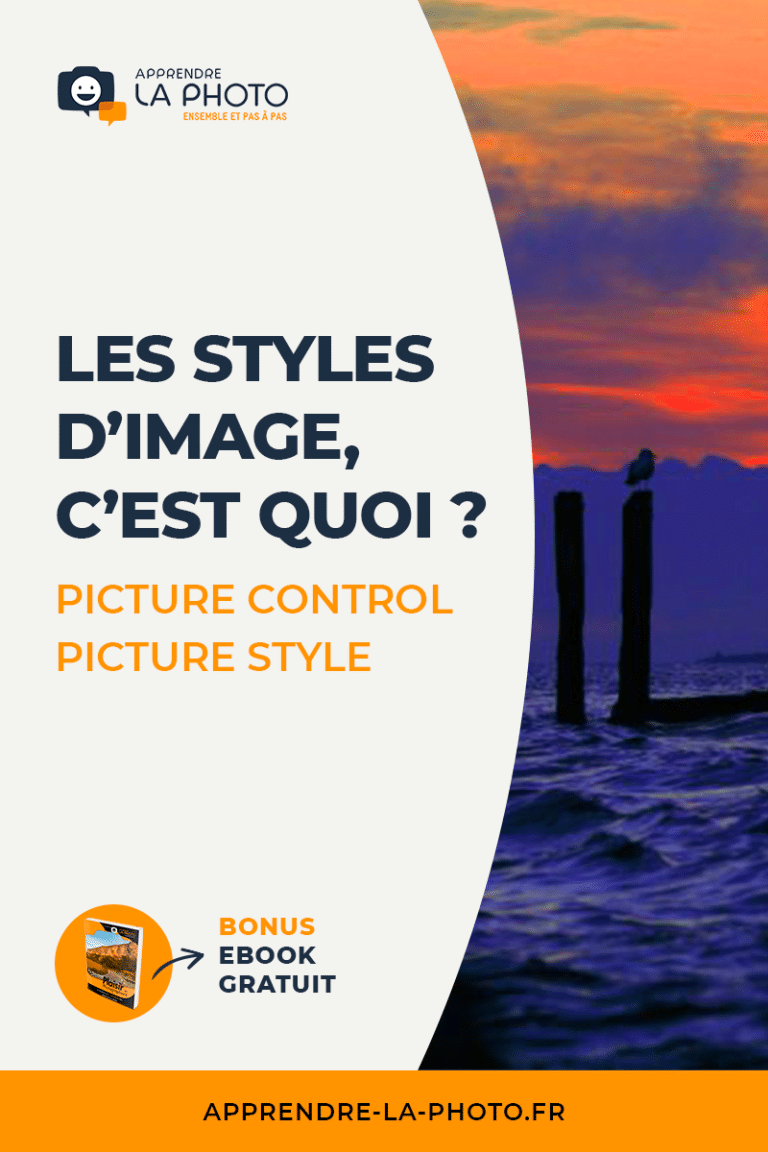 Style De Image Les STYLES D'IMAGE (Picture Control, Picture Style, etc.)