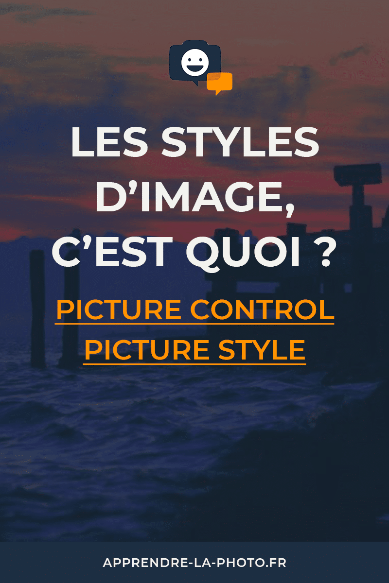 Style De Image Les STYLES D'IMAGE (Picture Control, Picture Style, etc.)