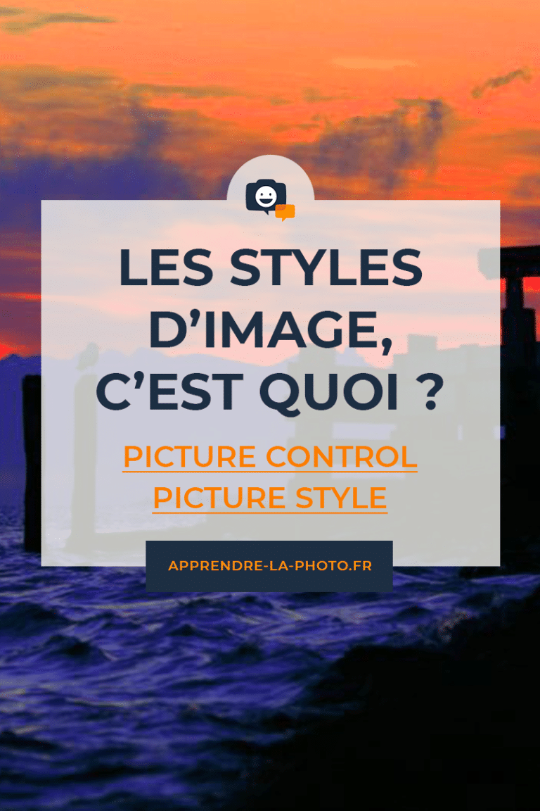 Style De Image Les STYLES D'IMAGE (Picture Control, Picture Style, etc.)