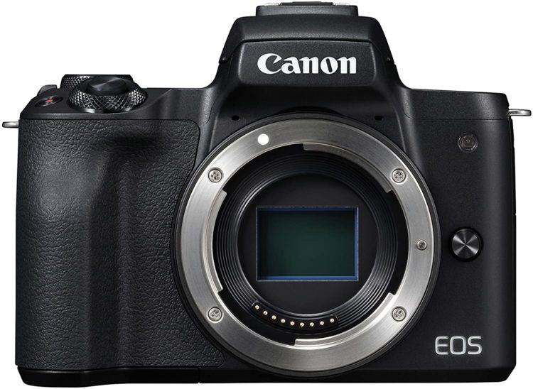 Canon EOS R50 vs Canon EOS M50 : lequel choisir
