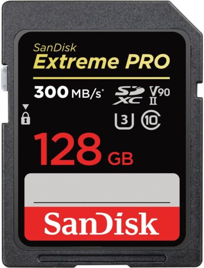 Carte SanDisk de 128 Go