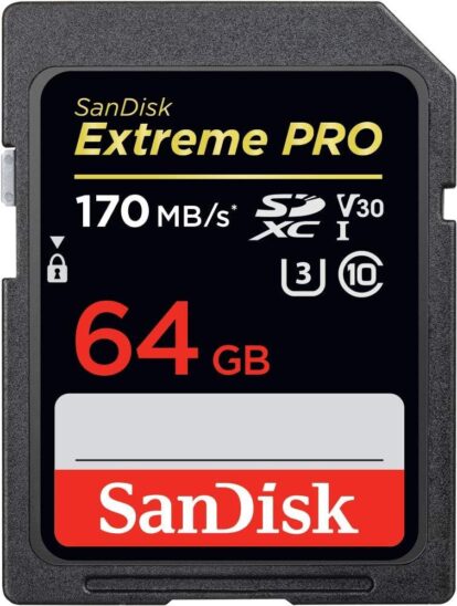 Carte SDXC SanDisk