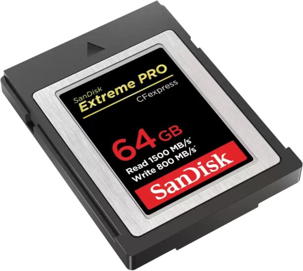 Carte SanDisk de 64 Go