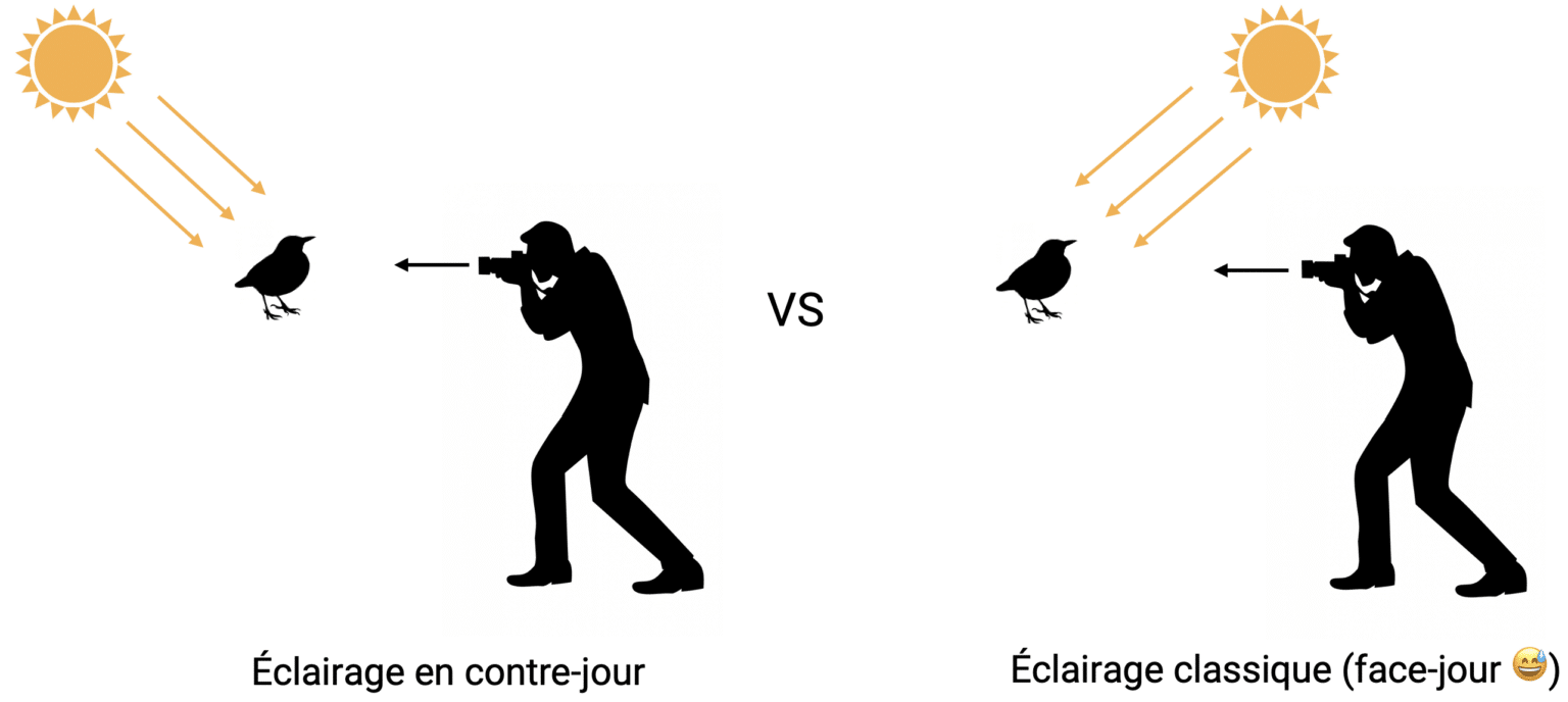 CONTREJOUR EN PHOTO comment le gérer