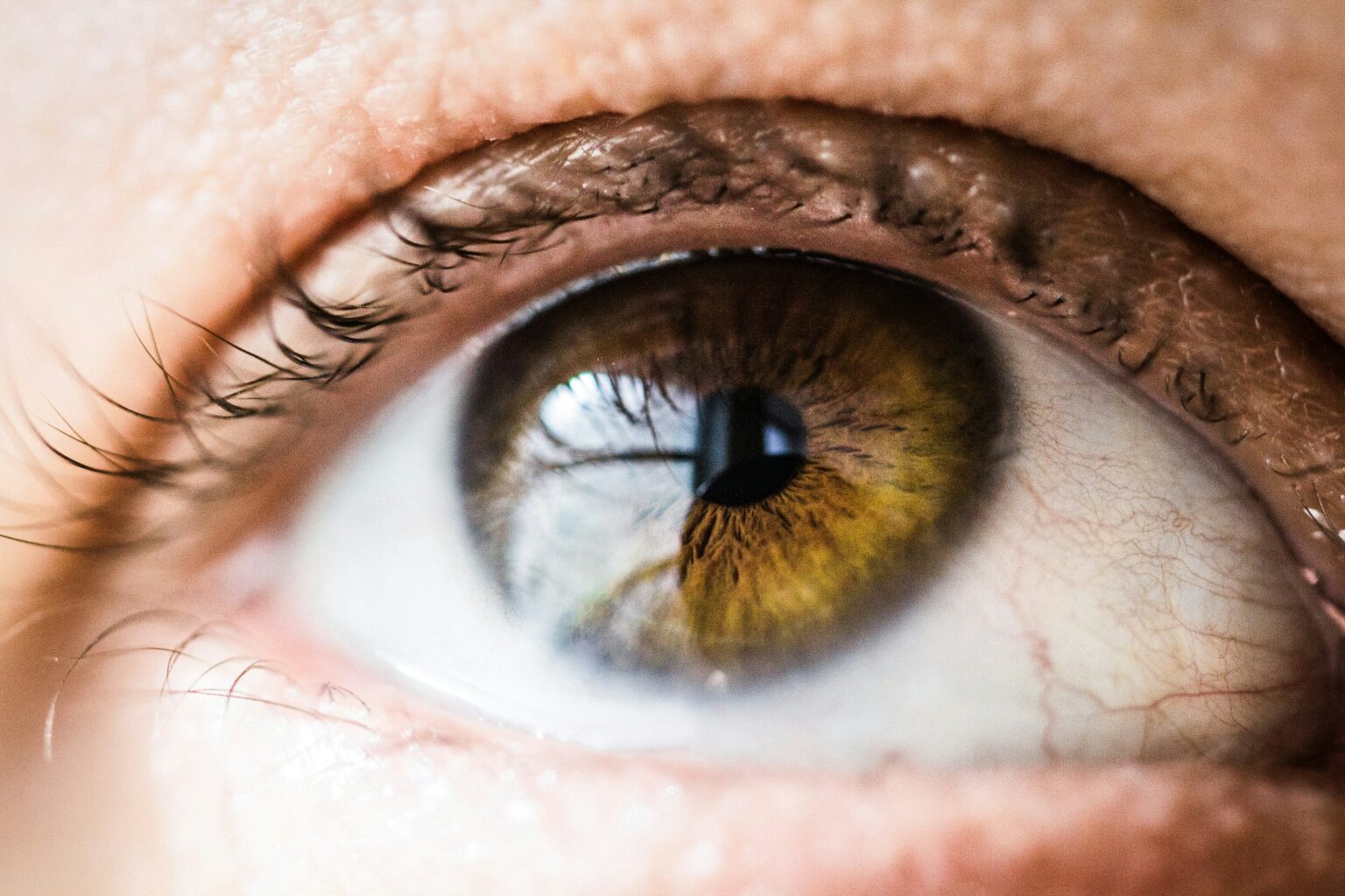 2024 QUEL ÉCRAN CHOISIR pour la retouche PHOTO