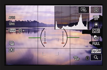 Histogramme d'appareil photo hybride affichant les réglages d'exposition, AF, et le mode RAW. Meilleur appareil photo hybride en 2026.