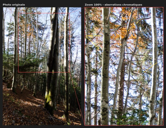 Exemple d'aberration chromatique&nbsp;: comparaison d'une forêt, avec zoom montrant les défauts optiques.