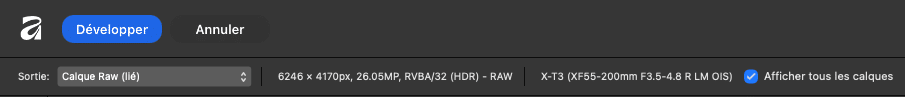 Interface du logiciel de retouche photo RAW. Options de développement, annulation et calques RAW disponibles.