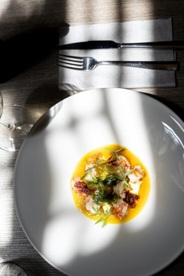 Plat photographié avec une lumière dure créant des taches de lumière marquées