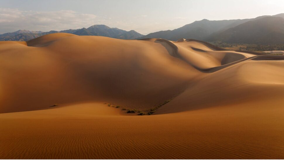 Dunes de sable doré sculptées par la lumière rasante, montagnes au loin