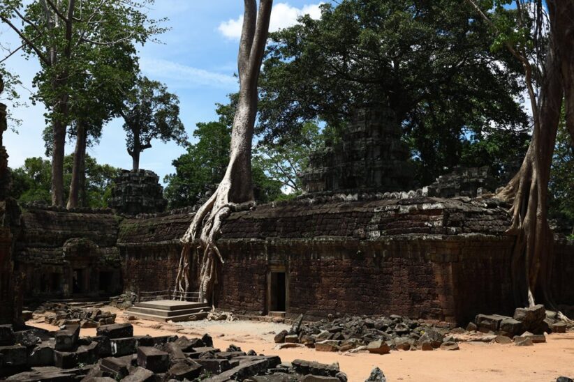 Ruines d'un temple envahies par les racines d'un arbre géant, sous un ciel bleu
